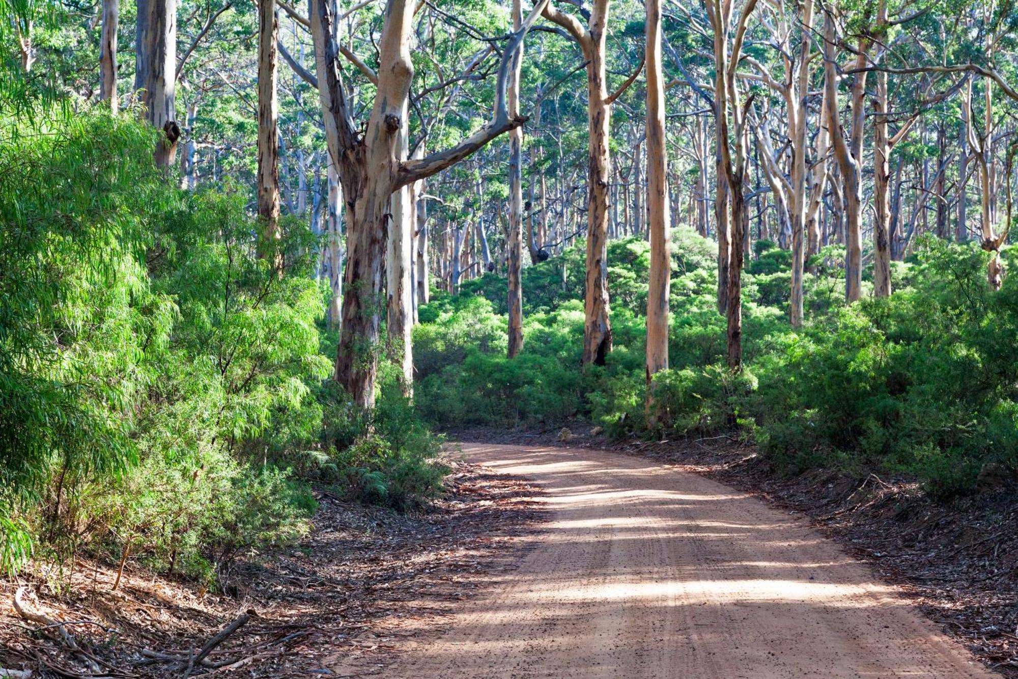 Margaret River Retreat Forest Grove Exterior foto